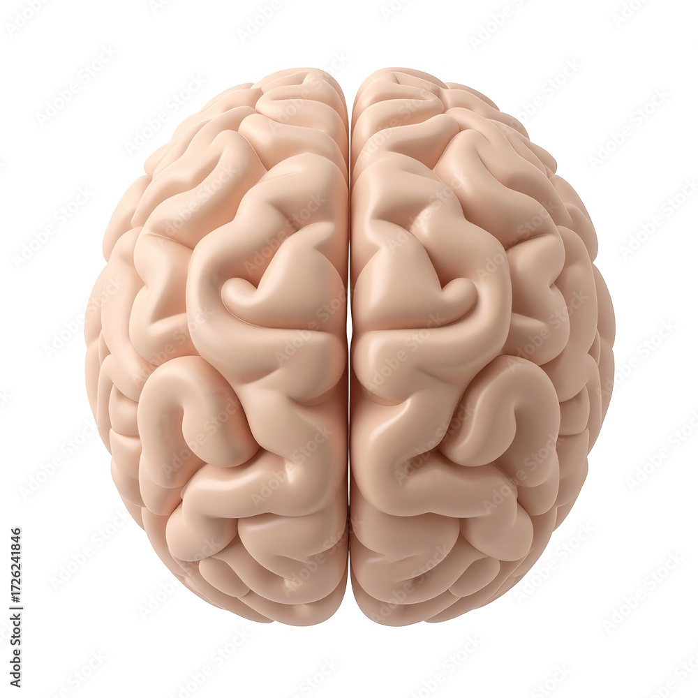 Detailed anatomical illustration of a human brain, presented in a light peach hue against a black backdrop.