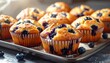 © CHOISH - 오븐 트레이에 갓 구운 블루베리 머핀 Freshly Baked Blueberry Muffins on Tray