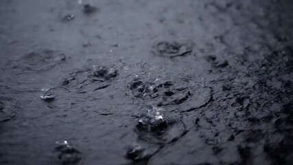 Wall Mural - Close-up of heavy raindrops splashing intensely onto a dark, wet asphalt surface during a downpour detail, rain, storm