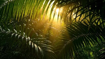 Wall Mural - bright sun rays filter through dense palm tree leaves creating a beautiful light display calm, palm 