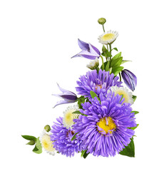 Wall Mural - purple flowers of asters and clematis in a corner arrangement isolated on white or transparent backg