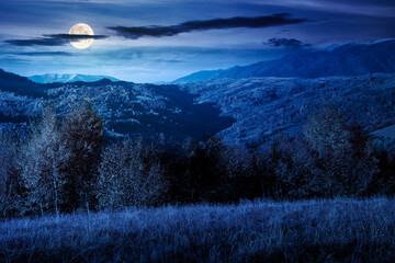 Wall Mural - autumn mountain landscape at night. beautiful countryside in highlands with rural fields and colorful deciduous trees. rolling hills in full moon light