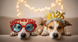 © Pixel Corner - Dogs Wearing New Year Glasses and 2026 Headband Celebration.