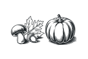 Wall Mural - Line art of harvest elements including mushroom, oak leaf, acorn, and pumpkin. Vector hand drawn illustration