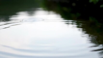 Wall Mural - Ultra close-up of gentle ripples spreading across a pond's glassy surface in soft, diffused daylight ultra, soft, smooth
