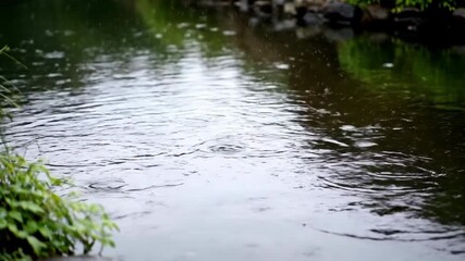 Wall Mural - Tranquil timelapse of a serene pond surface gradually becoming agitated by falling rain droplets, creating ripples abstract, creating, atmospheric