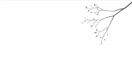 Wall Mural - Architectural Tree Line Drawings – Minimal CAD Side View Forest Section Outline Set for Landscape Design AI EPS PNG JPEG.
