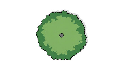 Wall Mural - Architectural Tree Line Drawings – Minimal CAD Side View Forest Section Outline Set for Landscape Design AI EPS PNG JPEG.
