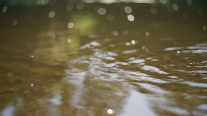 Wall Mural - Shimmering sun dapples play across the clear water surface of a pond from an abstract low-angle perspective abstract, dreamy, liquid