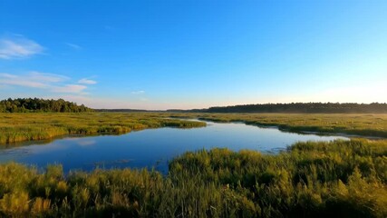Wall Mural - Pristine blue sky evolves from dawn to dusk over a sprawling marsh, showcasing subtle atmospheric shifts in a clear timelapse habitat, water, natural beauty