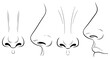 © msmdesign - Vector art of various sketches of a nose from different angles