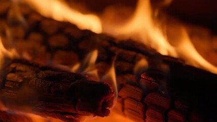 Sticker - macro view of burning wood, charring slowly with intricate patterns of flame transformation, burning