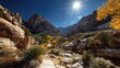 © putri - A vibrant desert landscape displays rugged mountains, colorful foliage, and a bright sun.