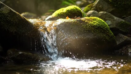 Wall Mural - Gentle Waterfall Cascade Over Mossy Rocks, Sun-Dappled Soft Light, Shallow Depth of Field soft light, natural light, forest