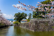 © whitcomberd - Scenic view of Odawara Castle with cherry blossoms and a water-filled moat in spring
