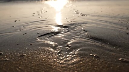 Wall Mural - Captivating slow motion detail of water receding from wet sand, creating intricate patterns motion, liquid, receding