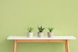 © Pixel-Shot - Artificial plants on table near green wall