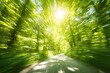 © Nasra - Sunny forest road, motion blur