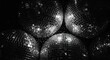 © kapten - Black and white disco balls