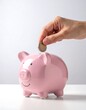 © lituhayu - Pink piggy bank receiving a coin