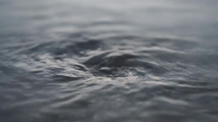 Wall Mural - hypnotic close-up of intricate water patterns and swirling currents, abstract fluid motion, soft lig