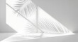 © NeoDesign Hub - Soft, diffused light casting palm leaf shadows onto a clean white wall and floor, creating a serene and tropical ambiance