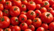 © brogan - Close-up view of many red tomatoes