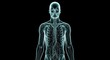 © arisapriliawan - Human Anatomy - X-Ray Vision: Transparent Torso and Vascular System