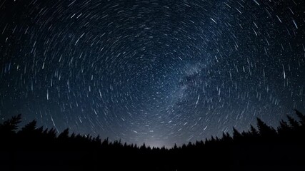 Wall Mural - A breathtaking night sky filled with countless stars rotates above a dark, silhouetted forest line, showcasing celestial motion in a stunning timelapse galaxy, majestic, conservation
