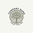 © Kiki - Minimalist Circular Tree Logo with Company Name and Tagline, Nature-Inspired Corporate Brand Symbol on a Light Background, Flat Vector Elements, Vector Illustration, Simple Vector, Stylized Vector