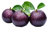 Freshly washed garcinia fruit with water isolated on transparent background