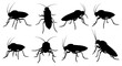 © Kaalia - Collection of cockroach silhouettes isolated on white background, different perspectives