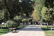 Pathway through a Lush Green Park with Trees
