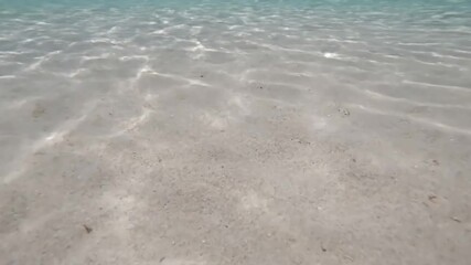 Wall Mural - Dynamic Ocean Floor Illumination