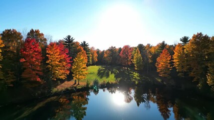 Wall Mural - stunning timelapse showcasing vibrant autumn foliage around a clear lake, with leaves changing color