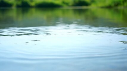 Wall Mural - Serene surface ripples gently spread across calm, clear water under soft daylight etheral, gently spread, meditative