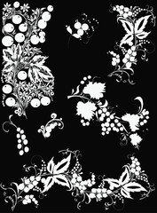 Wall Mural - different branches with berries silhouettes isolated on black