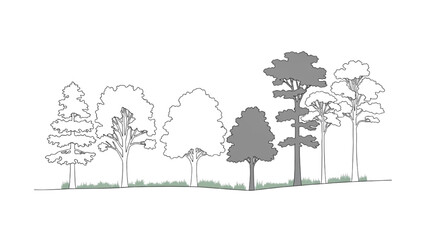 Wall Mural - Minimal CAD Tree Line Vector – Side View Outline Set of Graphic Tree Elements for Architecture and Landscape Design AI EPS PNG JPEG