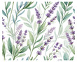© Tanvir Rana - Watercolor Seamless Pattern with Lavender Flowers and Leaves