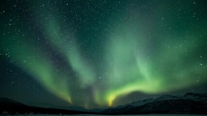 Wall Mural - hypnotic green and purple aurora borealis streaking and shifting in abstract patterns timelapse wond