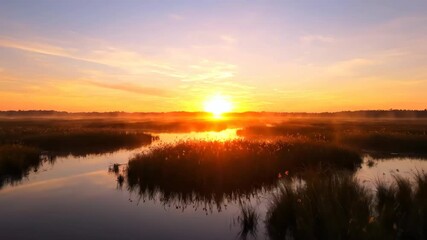 Wall Mural - Golden sunrise illuminates a vast marsh, showcasing the dawn's shifting colors in a breathtaking timelapse peaceful, morning, tranquil