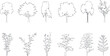 © shatabdi - Minimal style cad tree line drawing, Side view, set of graphics trees elements outline symbol for architecture and landscape design drawing white background and landscape design presentations.. Vector
