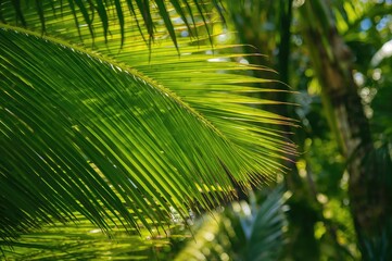 Wall Mural - Detailed view of banana palm foliage in a lush jungle