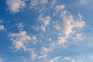 Wall Mural - Stunning azure sky adorned with gentle white clouds as an artistic backdrop