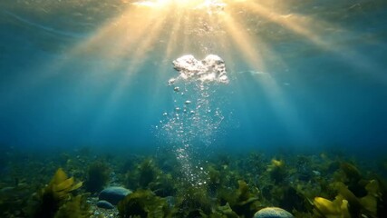 Wall Mural - Dreamy Underwater Scene with Shafts of Sunlight Penetrating Through the Surface, Creating Abstract Light Rays and Bubbles nature, sea, water