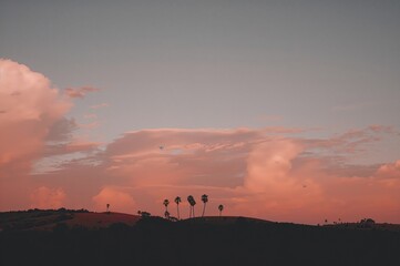 Wall Mural - Sunset with a glowing sky and clouds