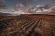 © vxnaghiyev - A western Irish field bearing remnants of potato furrows left from the mid-19th century famine