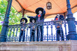 Altares y Adornos de Día de muertos en la Ciudad de Morelia, Michoacán, México.