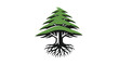 © Win - Lebanese Cedar Tree Illustration.