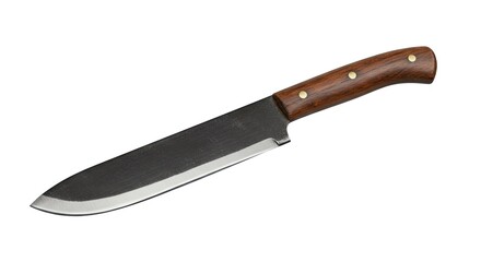 An overhead shot of a knife with a dark wood handle on a white background